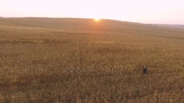 Gün batımında buğday alanı yürüyen adam