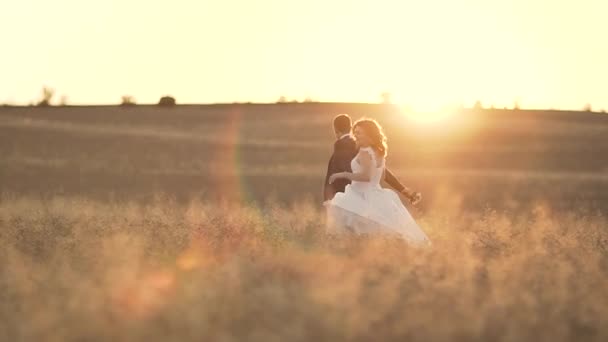 Casal romântico anda trigo dourado na luz do sol — Vídeo de Stock