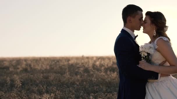 Casal de casamento beijos ao pôr do sol — Vídeo de Stock