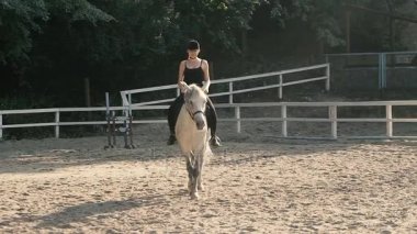 İçin hayvan bakımı