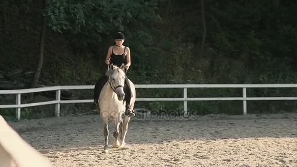 Paseos a caballo en el bosque de verano — Vídeos de Stock