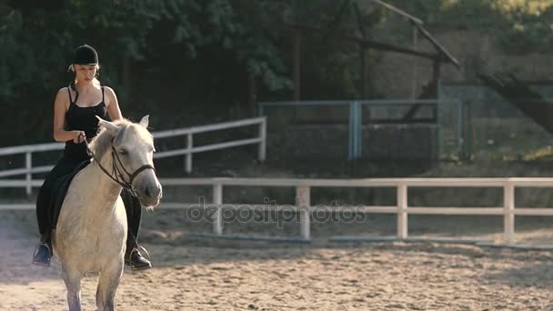 Montar a caballo en el campo de entrenamiento — Vídeos de Stock