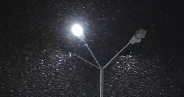 Réverbère d'hiver nocturne avec neige tombante — Video