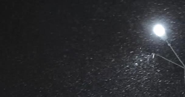 Night Winter Street Lamp With Falling Snow — Stock Video