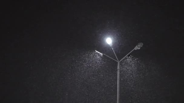 Night snowfall near street lamp — Stock Video