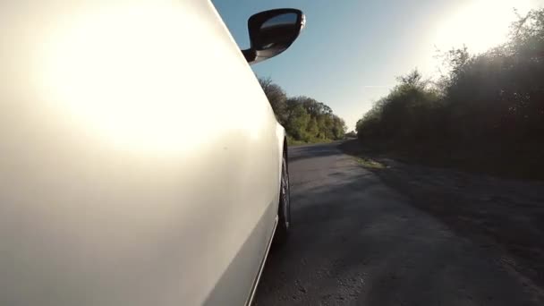 Rijdende auto langs de weg met veel bomen — Stockvideo