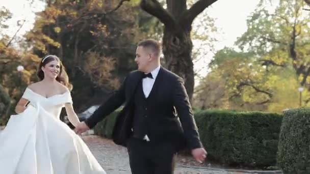 Pareja de bodas corriendo al atardecer ante el viejo castillo. Los amantes van de la mano en el prado bajo el sol. En cámara lenta. Trabajo en equipo de hombres y mujeres. Pareja feliz . — Vídeo de stock