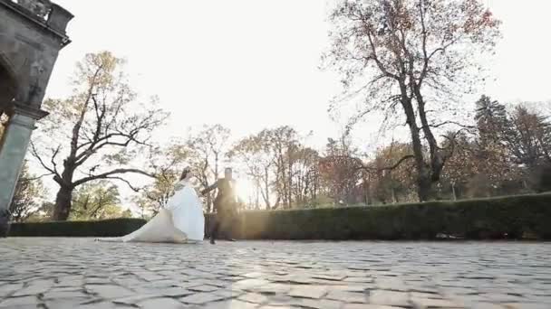 Braut und Bräutigam laufen am Hochzeitstag freudestrahlend gemeinsam einen Weg entlang, diverse Paare halten sich an den Händen und schlängeln sich am Hochzeitstag zusammen. — Stockvideo