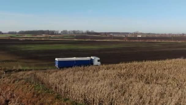 Güzel kırsal kesimde bir kamyonun hava görüntüsü. Kamyon mısır tarlasında toprak yolda ilerliyor. Kargo Karavanı olan yarı kamyon mısır tarlası arka planında taşınıyor. — Stok video