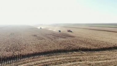 Mısır hasat makineleri ile sonbaharda. Tarım ve tarım. Büyük pulluk tarla boyunca hareket eder ve araziyi pulluklar. Hasat, saha çalışması, kolektif çiftlik