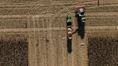 Sonbahar tarlası ve hasat süreci üst görünümü. Gelir artışı, ekonomi başarı sezonu, tarıma para yatırımı. İki Birleşmiş Hasat Altın Tarlada Mısır Topluyor.