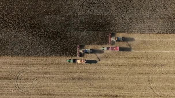 Two combine harvesters transferring freshly harvested corn to tractor-trailer for transport — Stock Video