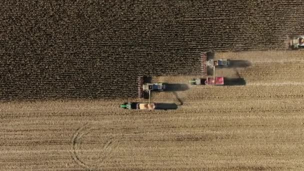 Drohnenschuss fliegt über zwei Mähdrescher, die frisch geerntetes Mais zum Transport auf Traktor-Anhänger transportieren — Stockvideo