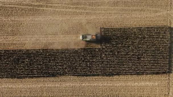 電気結合,収穫はオート麦を削除します,高さからのビュー, GPSシステムを追跡 — ストック動画