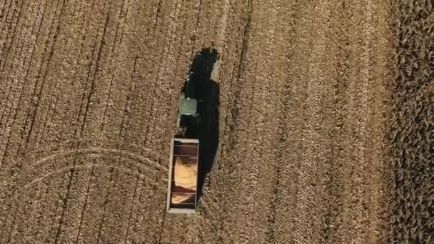 Landbouw en landbouw. Herfstveld, gele bomen en landbouwmachines. Oogsten, veldwerk, collectieve boerderij. Luchtfoto — Stockvideo