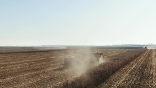 Комбіни і трактори працюють на великій кукурудзяній ниві. Збір урожаю на кукурудзяному полі. Жнива працюють на полі — стокове відео