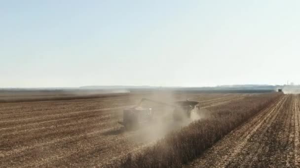 Combines and Tractors Working on the Large Corn Field. Harvester on the Corn field. Harvester Working on the Field — Stockvideo