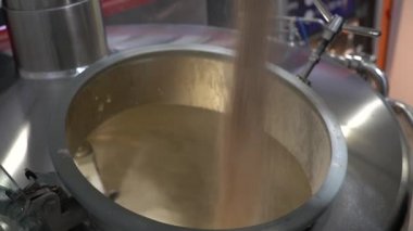 Bira üreticisi poşetten bira demleme tankına malt döker. El yapımı bira..