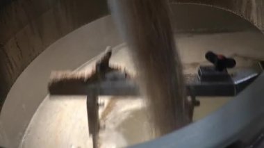Bira üreticisi poşetten bira demleme tankına malt döker. El yapımı bira..