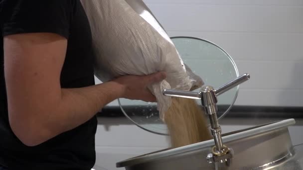 Bira Üreticisi Poşetten Bira Demleme Tankına Malt Döker Yapımı Bira — Stok video