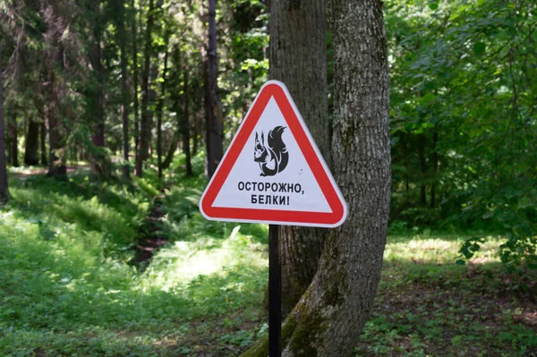 Parktaki Uyarı Işareti Rusça Sincaplardan Sakının Demek Açık Hava — Stok fotoğraf