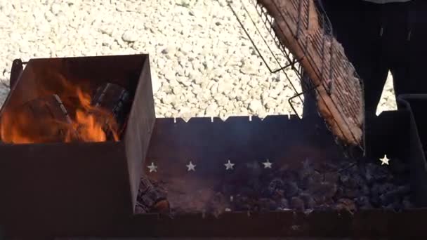 Cozinhar Kebabs Grelhador Cozinhar Carne Fogo Natureza Piquenique Livre Homem — Vídeo de Stock