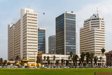 Mavi gökyüzüne ve uçan kuşa karşı Tel Aviv 'in yüksek binaları. Gün ışığı.