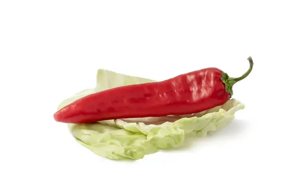 Red hot pepper on cabbage leaf — Stock Photo, Image