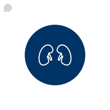 İnsan böbreği organ simgesi