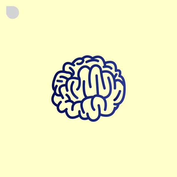 Human brain icon — Stock Vector