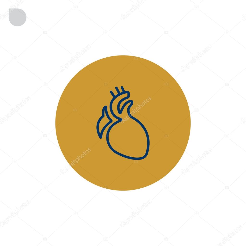 human heart organ icon