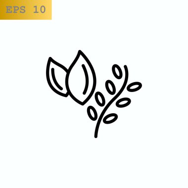 simge yemek pişirmek için otlar