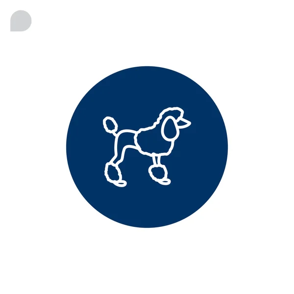 French poodle dog icon — Stock Vector