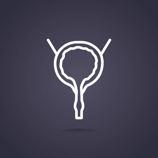 anatomy web icon