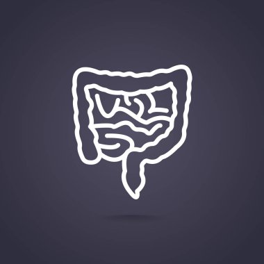 Anatomi web simgesi
