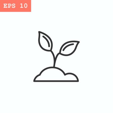 toprak kutsal kişilerin resmi içinde bitki