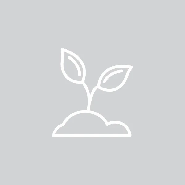 Plant web icon — Stock vektor