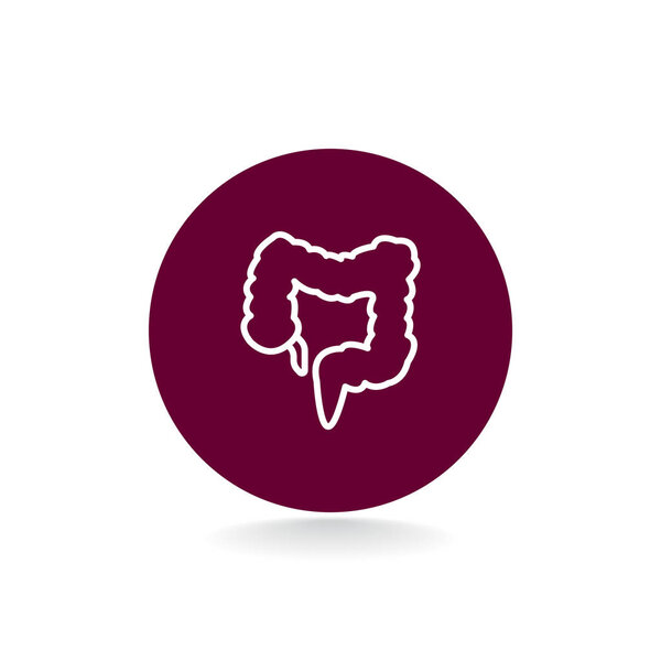 large intestine icon