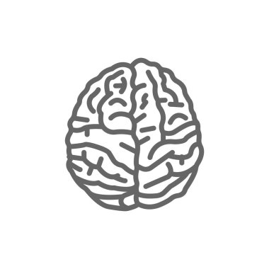 Beyin anatomisi simgesi