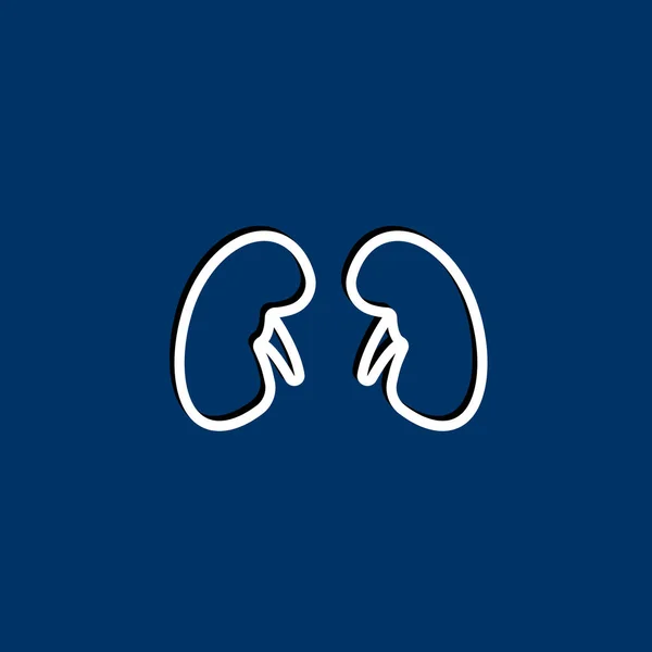 Medicine Kidneys icon — Stock Vector
