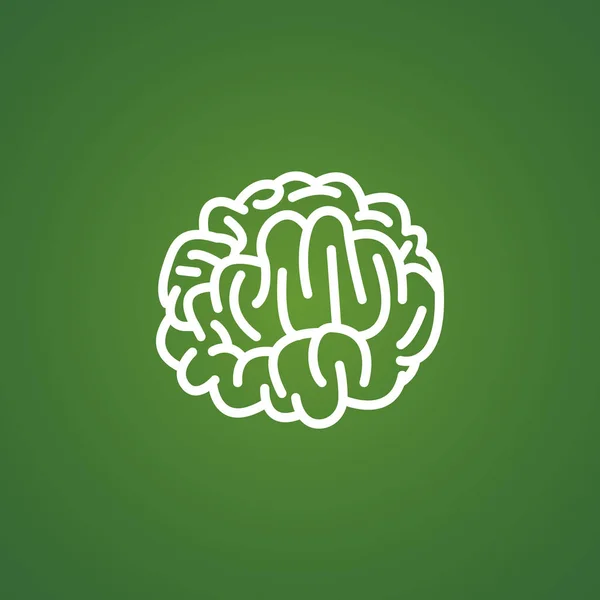 Brain anatomy Icon — Stock Vector