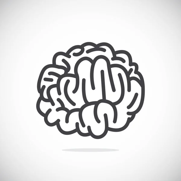 Brain anatomy Icon — Stock Vector