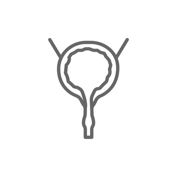 Urinary bladder icon — Stock Illustration Urinary bladder icon Stock Vector