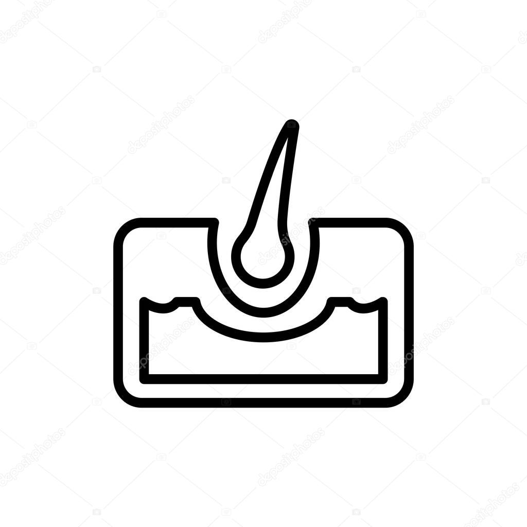 Vector illustration of hair anatomy icon