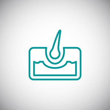 saç anatomisi simgesi 