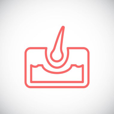 saç anatomisi simgesi 