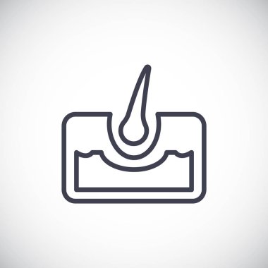 saç anatomisi simgesi 