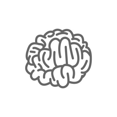 Beyin anatomisi simgesi