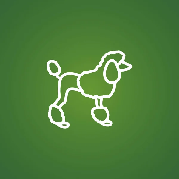 Poodle line icon — Stock Vector