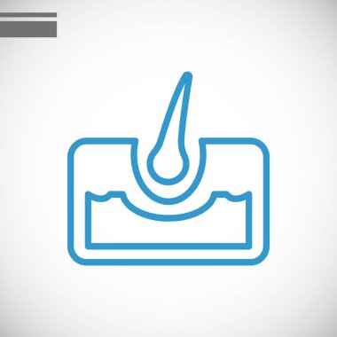 saç anatomisi simgesi 